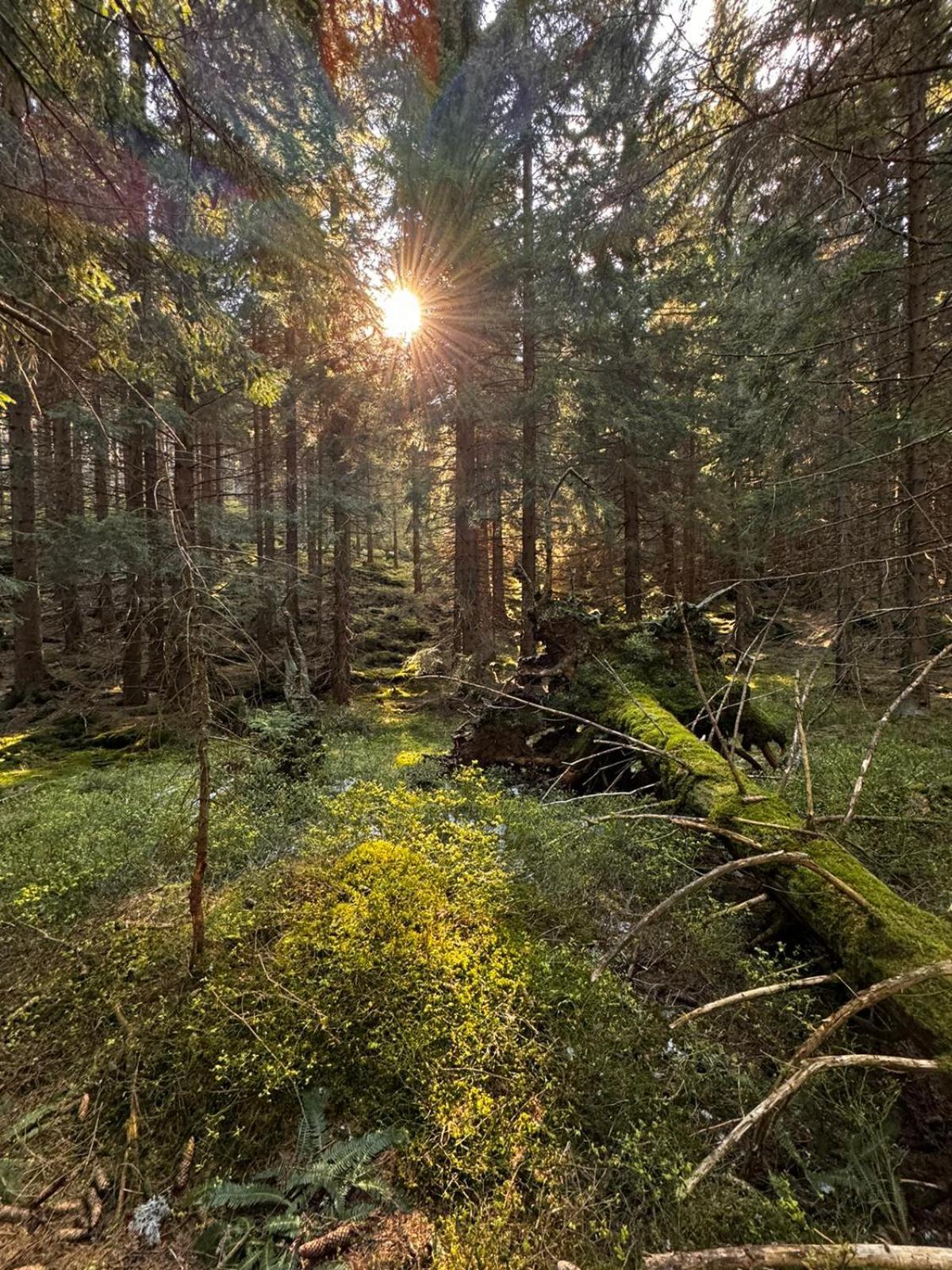 Chata Pod Studnicnou Pec pod Sněžkou Exterior foto